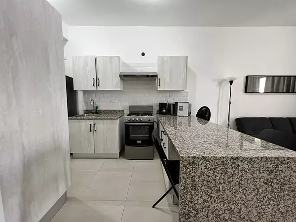 apartamentos - Se alquila apartamento amueblado en Los Ríos 6