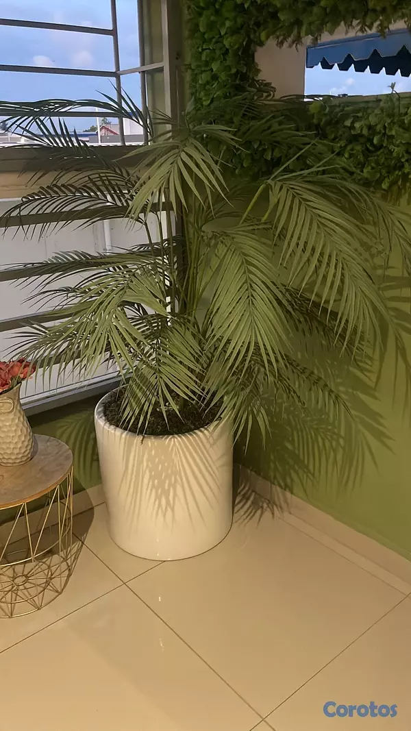 decoración y accesorios - Artículos  del hogar 1