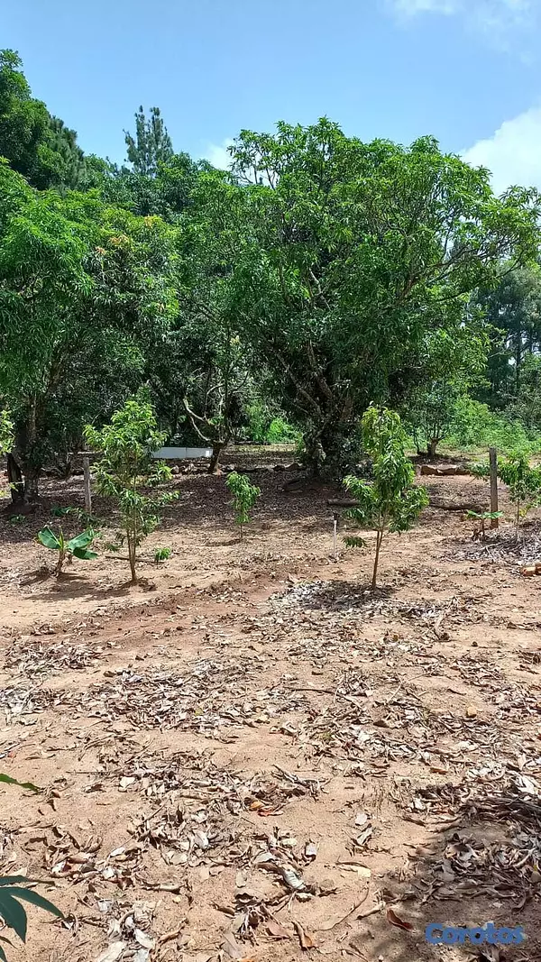 apartamentos - Solar en los Mogotes Villa Altagracia de 5mil metr 7