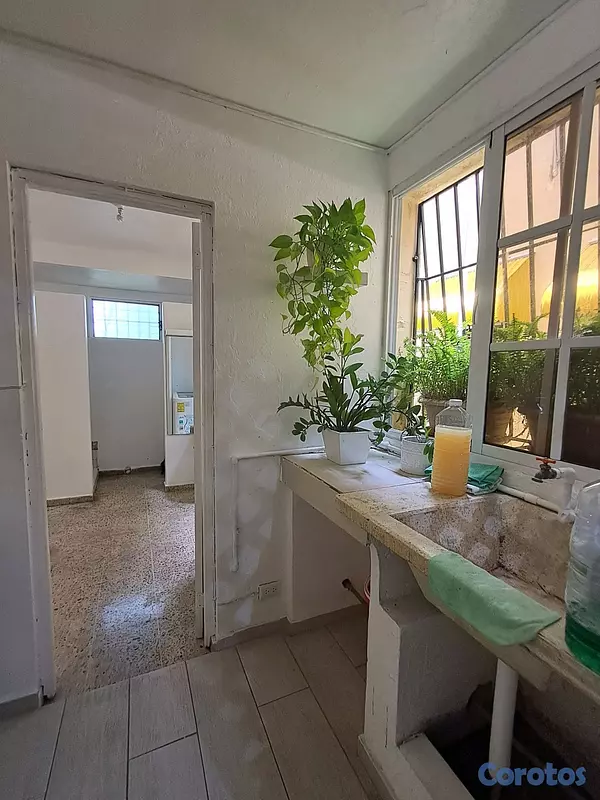 apartamentos - Amplio apartamento segundo nivel con áreas verdes en Gazcue 5
