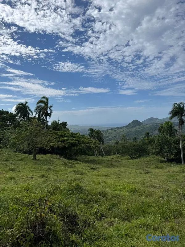 solares y terrenos - 🌿 Tropical Breeze Cupey – Proyecto Ecológico  2