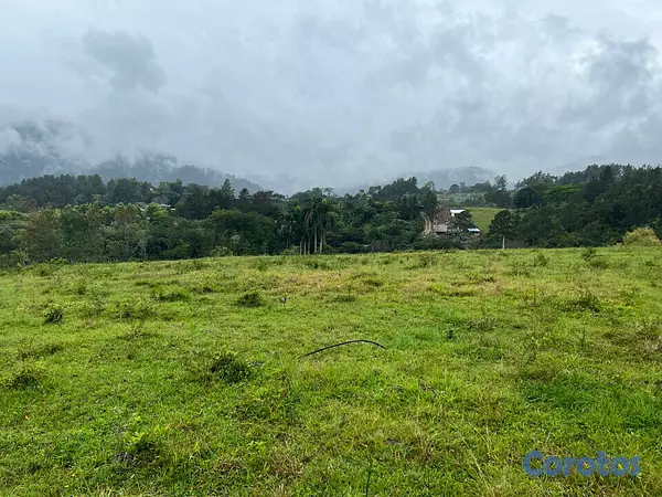 solares y terrenos - Terreno en jarabacoa 2