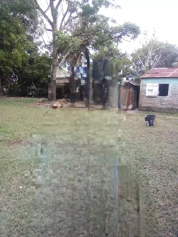 solares y terrenos - Finca en venta  4