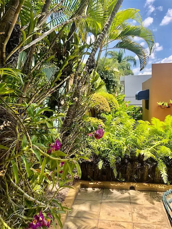 casas - Casa de alquiler en Los Cerros de Gurabo 4