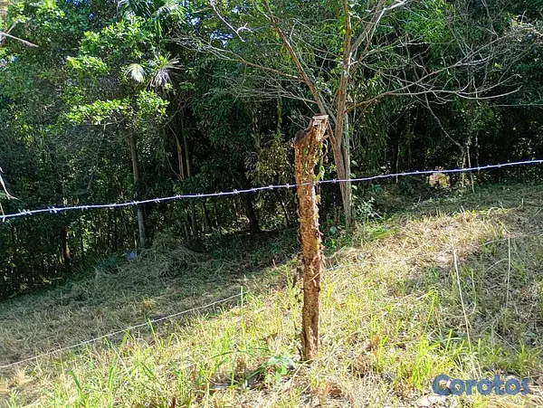 solares y terrenos - VENDO terreno en el Vacacional Matua 3