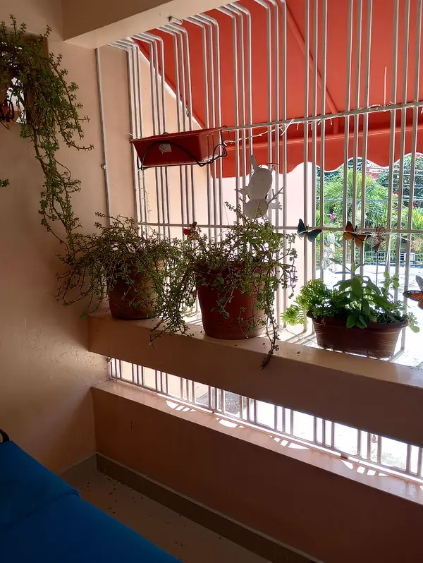apartamentos - Apartamento, Renacimiento, Distrito Nacional.   5