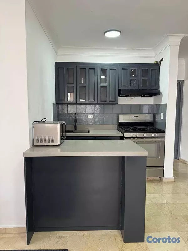 apartamentos - Alquiler de Apartamento amueblado en Piantini  2