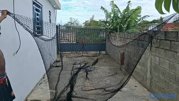hobby y coleccion - "Máquina de Lanzar Pelotas de Béisbol + Malla de Bateo" 2