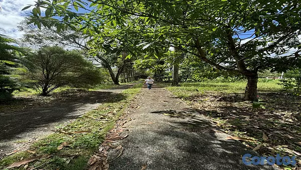 solares y terrenos - Venta Terrenos y Finca Km 25 Autopista  Duarte 7