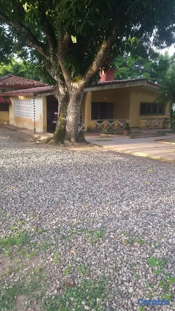 solares y terrenos - venta de Finca en guerra con 145 tareas República Dominicana  6