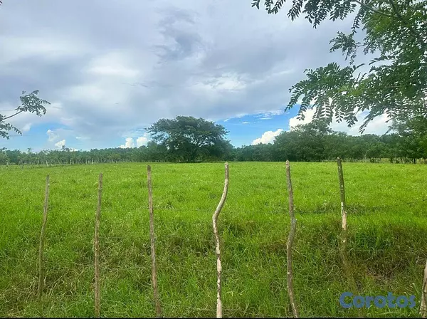 solares y terrenos - En Venta Finca Ganadera en Monte Plata el Hatillo Calle Asfaltada 1