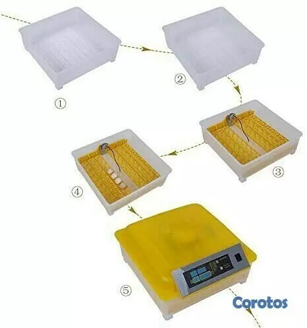 equipos profesionales - Incubadoras de 48 huevos digital automatico para Pollo Aves de corra 8