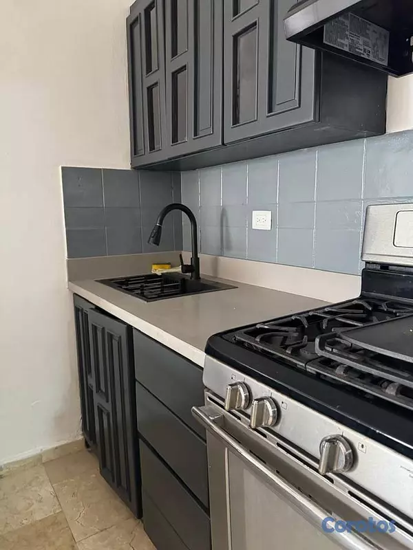 apartamentos - Alquiler de Apartamento amueblado en Piantini  4
