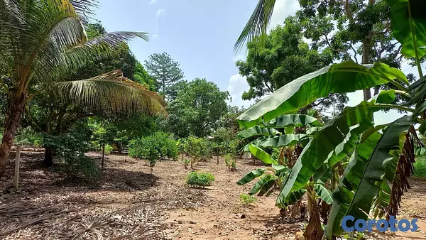 apartamentos - Solar en los Mogotes Villa Altagracia de 5mil metr 8