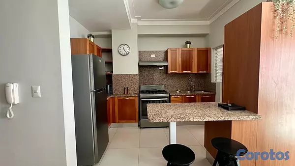 apartamentos - La Julia, Alquiler amueblado , Santo Domingo  3
