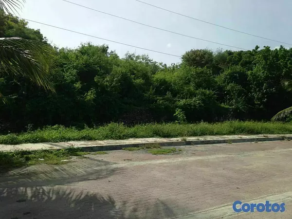 solares y terrenos - Solar Parcela En Costa Boca Chica Comercial residencial industrial