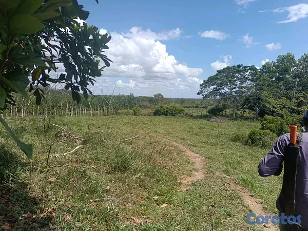 solares y terrenos - finca de 182 tareas en Monte Plata  10