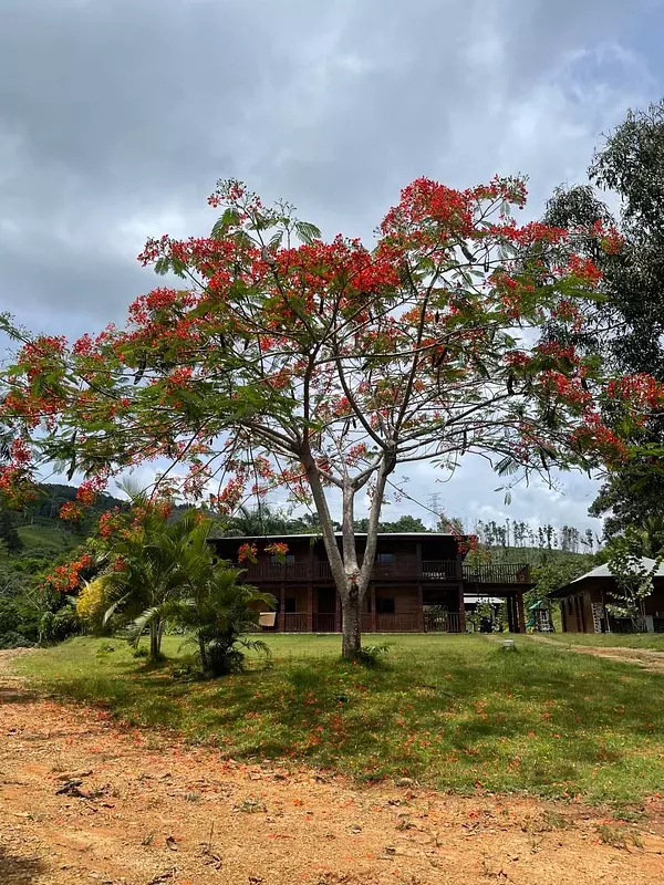 solares y terrenos - finca de 2800 tareas en  5