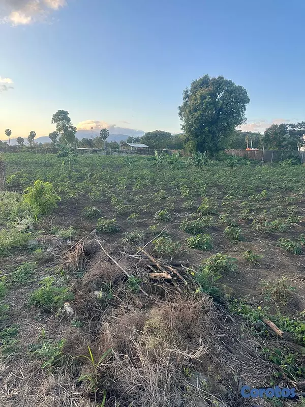 solares y terrenos - Finca de 4075 tareas en Cibao de Cacao  9