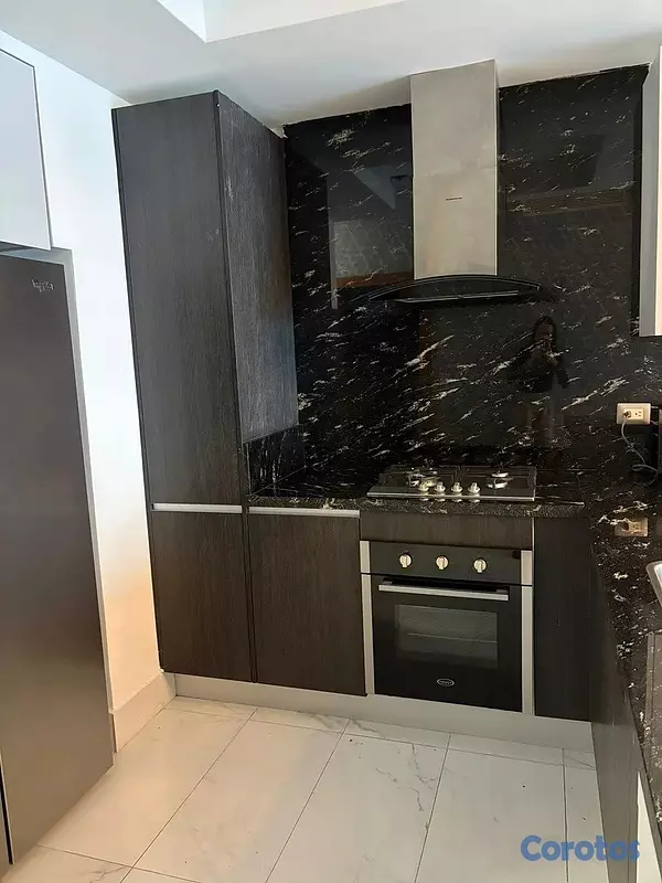 apartamentos - Alquiler de Apartamento Amueblado en Piantini  7