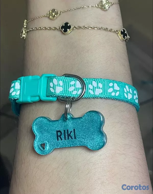 animales y mascotas - Chapillas y collares personalizados para perros y gatos 6