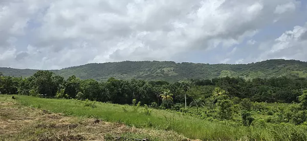 solares y terrenos - Terreno en Venta en Hato Viejo Yamasá desde 1,000 Mts, con vista hacia el Rio  3