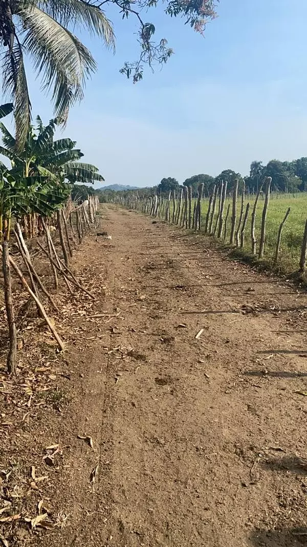 solares y terrenos - Finca 520 tareas en monte plata, en Don Juan 
 1