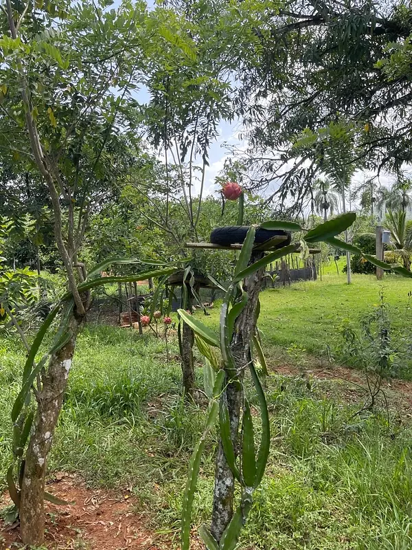 solares y terrenos - finca de 2800 tareas en  9