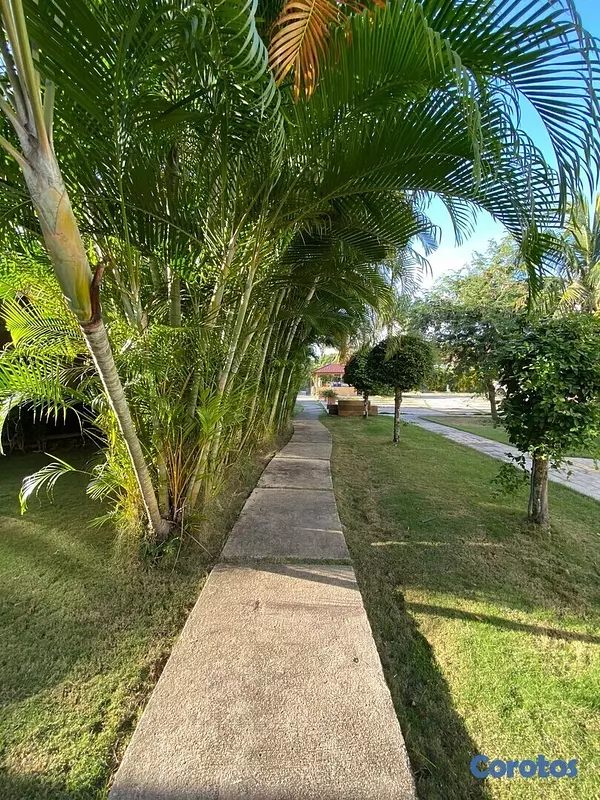 casas vacacionales y villas - CASA EN METRO COUNTRY CLUB 10
