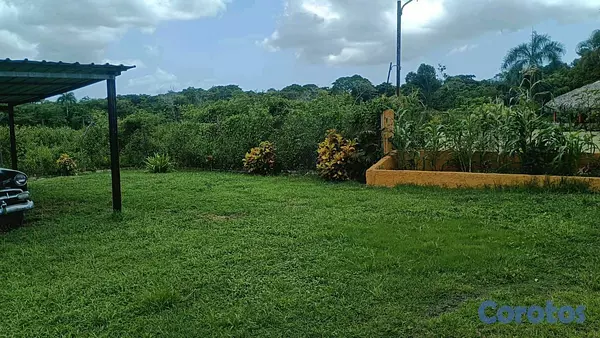 otros inmuebles - excelente finca de 50 tareas en Santo Domingo  2