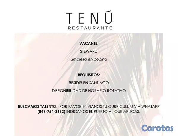 empleos disponibles - STEWARD