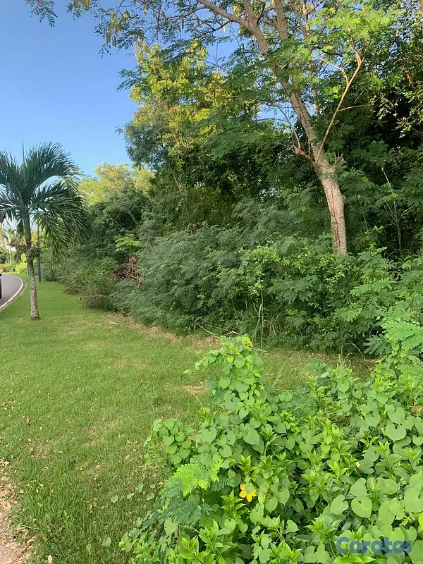 solares y terrenos - 🌴 Terreno en Venta en Playa Nueva Romana 2