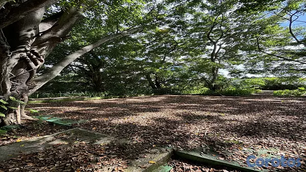 solares y terrenos - Venta Terrenos y Finca Km 25 Autopista  Duarte 10