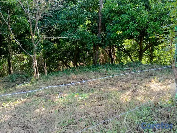 solares y terrenos - VENDO terreno en el Vacacional Matua 8