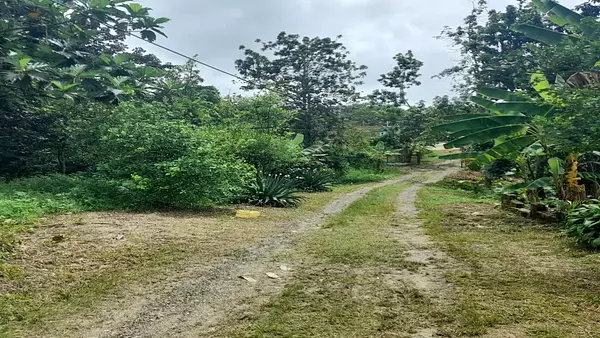 solares y terrenos - VENDO Finca en Villa Mella + Casa 250 m2 8