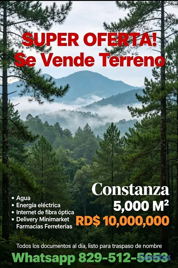solares y terrenos - FINCA EN CONSTANZA 10