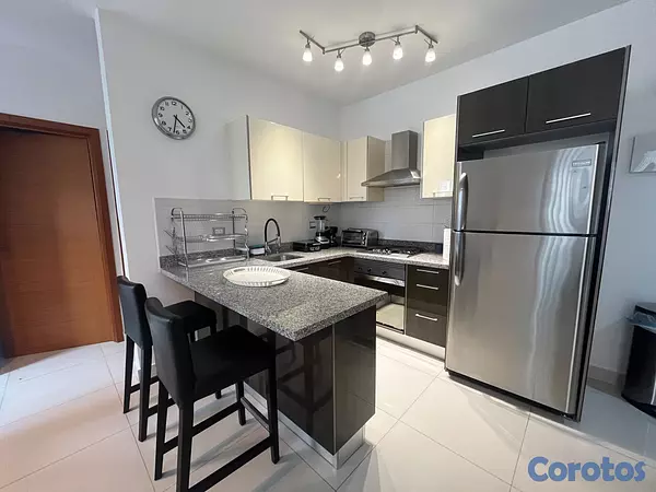 apartamentos - Apartamento en Alquiler en Piantini Amueblado de U 2