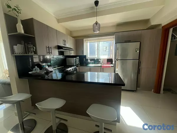apartamentos - Apartamento Alquiler Naco Amueblado DOS Habitacion 9