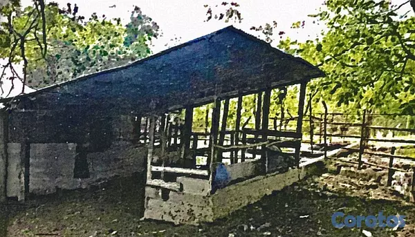 solares y terrenos - finca de 729 tareas en san José de las matas  15