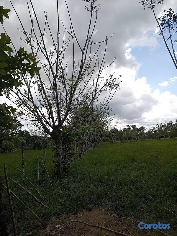 solares y terrenos - Finquita Ganadera en hatillo Monte Plata a Diez Mi 7