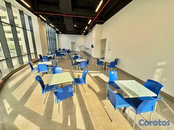 oficinas y locales comerciales - Oficina Ejecutiva nueva en alquiler en Piantini 3
