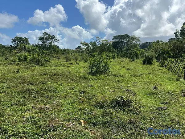 solares y terrenos - Terrenos cerca a playa en las Galeras 10