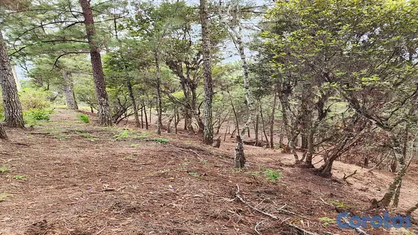 solares y terrenos - VENDO HERMOSO TERRENO, EN LA CASTILLA, ARROYO FRIO, CONSTANZA!!! 2