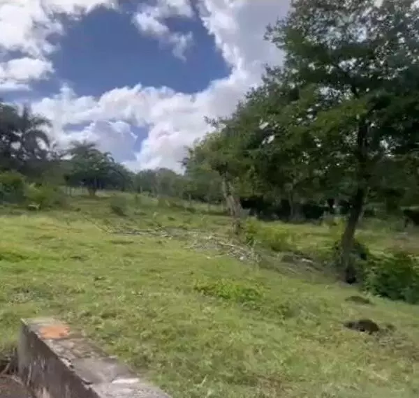 solares y terrenos - Finca de 63 tarea ubicada a 15 minutos del centro de Puerto Plata 2