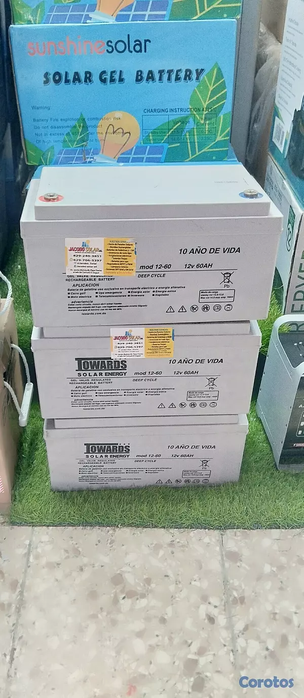 plantas e inversores - baterías de gelatina de 12v y 60am 1