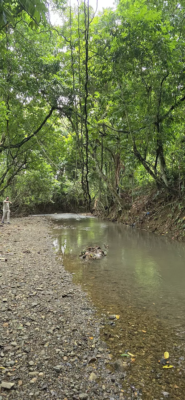 solares y terrenos - Terreno en Venta en Hato Viejo Yamasá desde 1,000 Mts, con vista hacia el Rio  4
