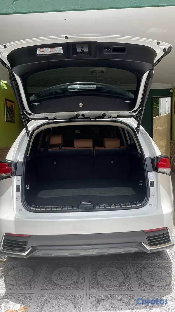 jeepetas y camionetas - Lexus NX300h Hybrid AWD 2020 | Local Delta | Único 12