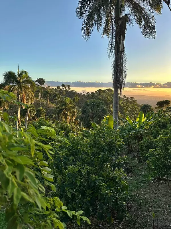 solares y terrenos - Finca de 7 Tareas con Caseta y Piscina en Las Montañas  2