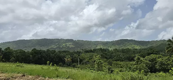 solares y terrenos - Terreno en Venta en Hato Viejo Yamasá desde 1,000 Mts, con vista hacia el Rio  5