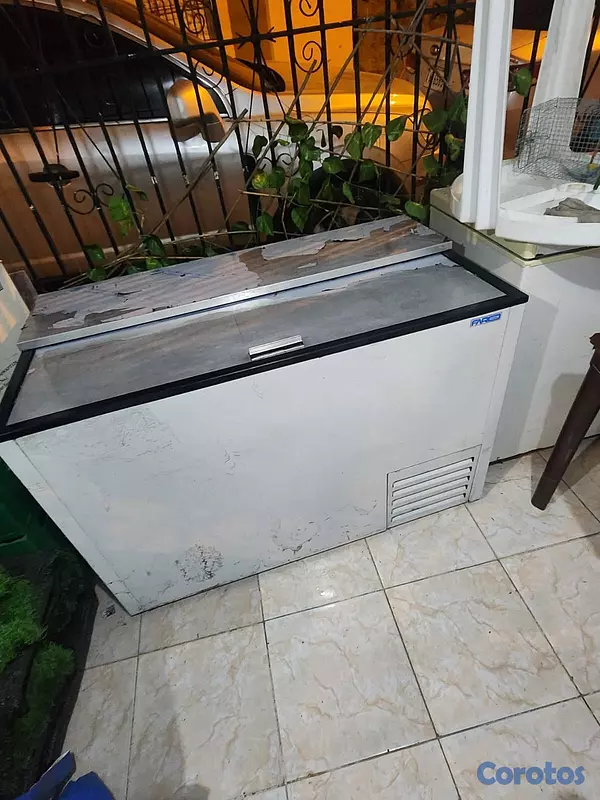 equipos profesionales - Vendo freezer 5